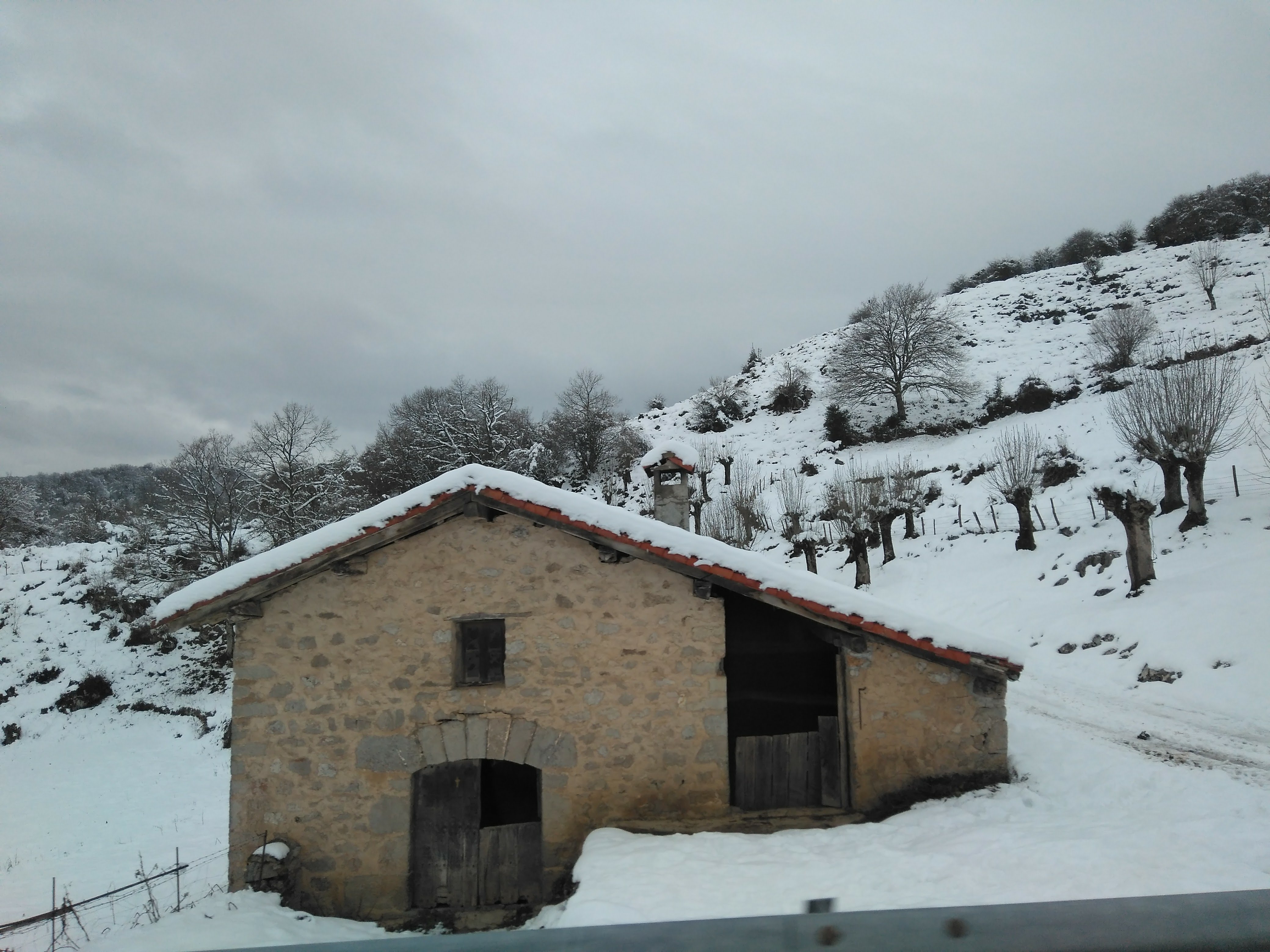 Cibeles Currás - Euskadi txuria