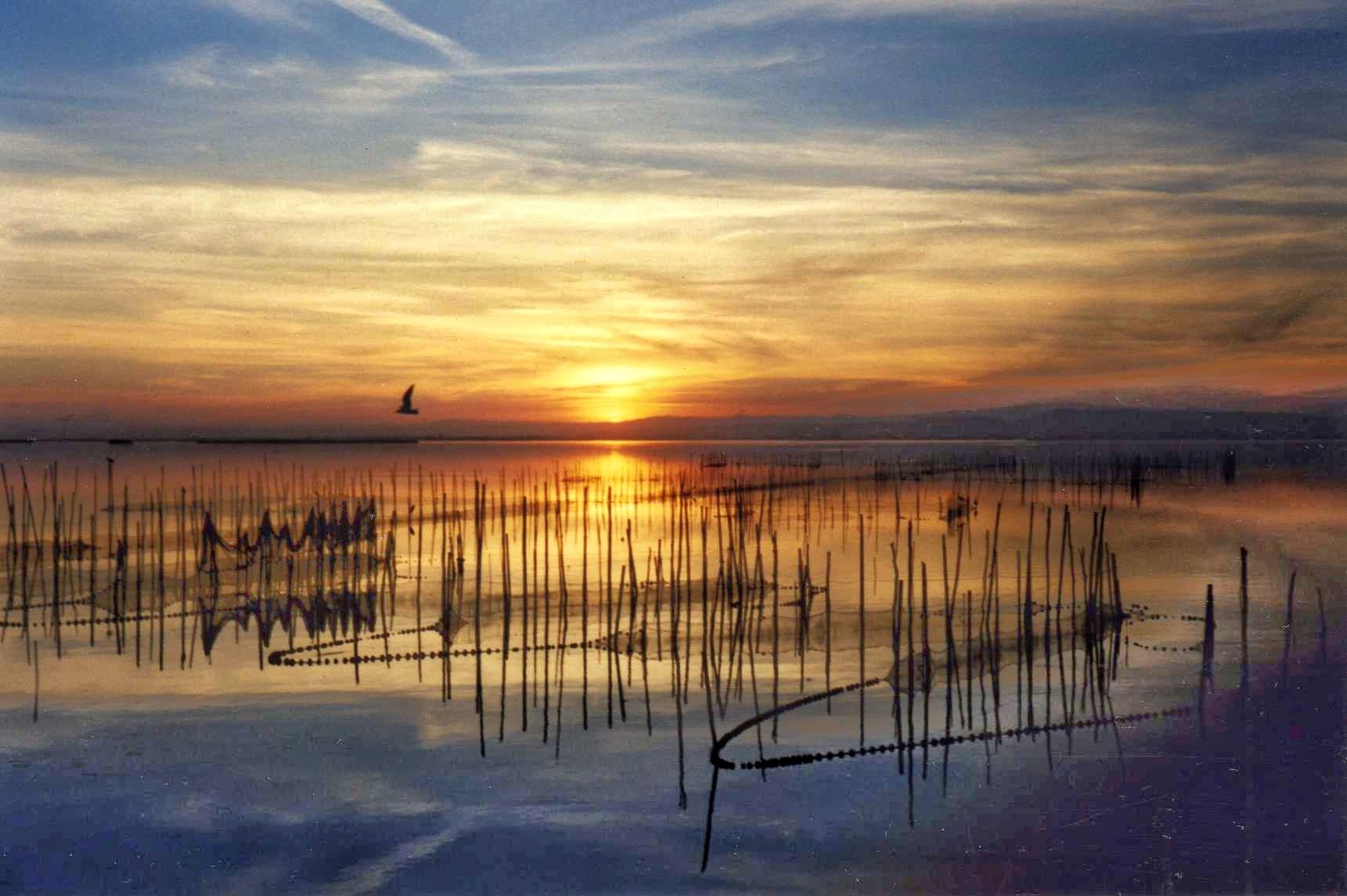 José Carlos López - Atardecer
