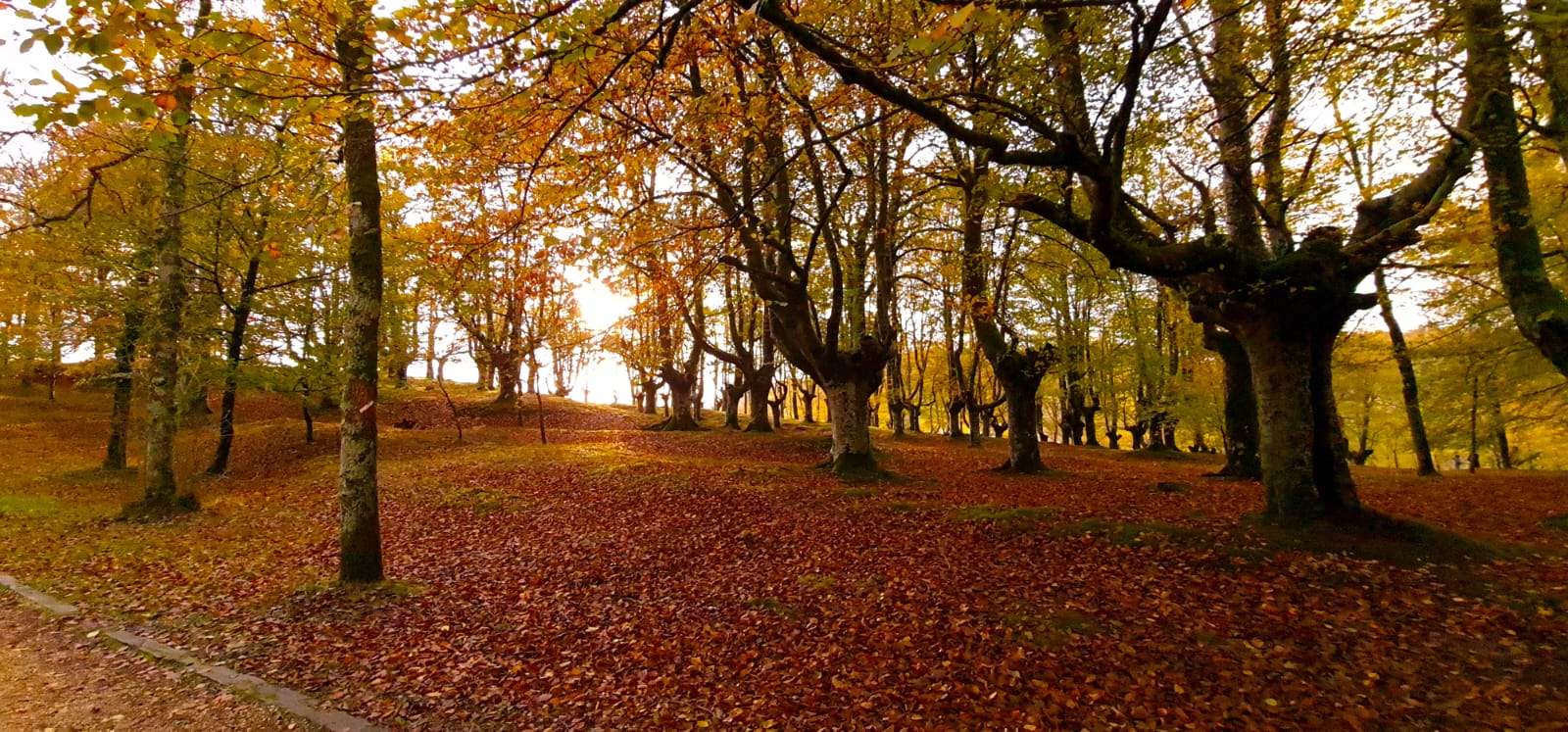 Joseba Carrasco - Santuario de Urkiola en otoño