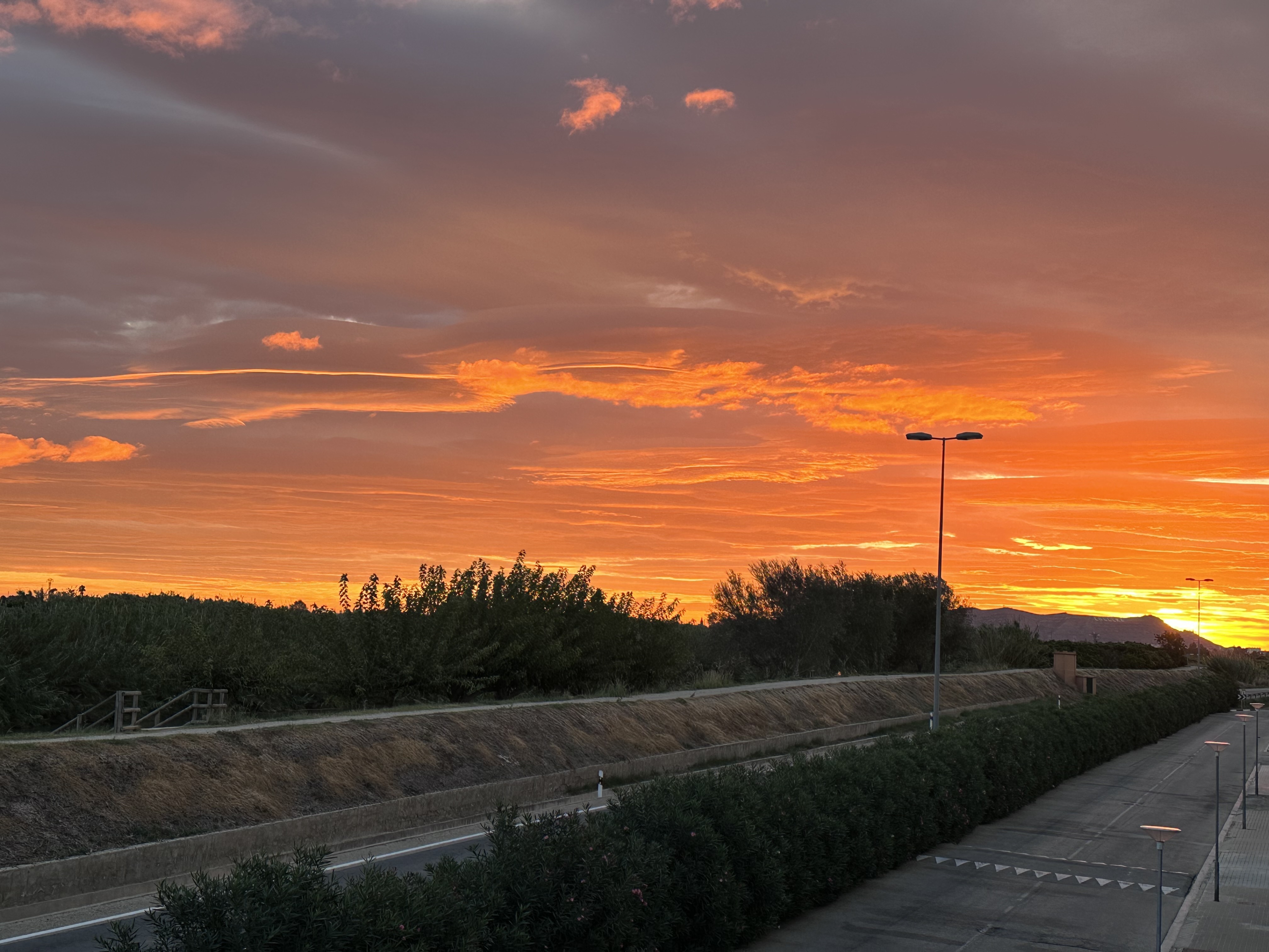 Paula Romero - Amancer Polinyá