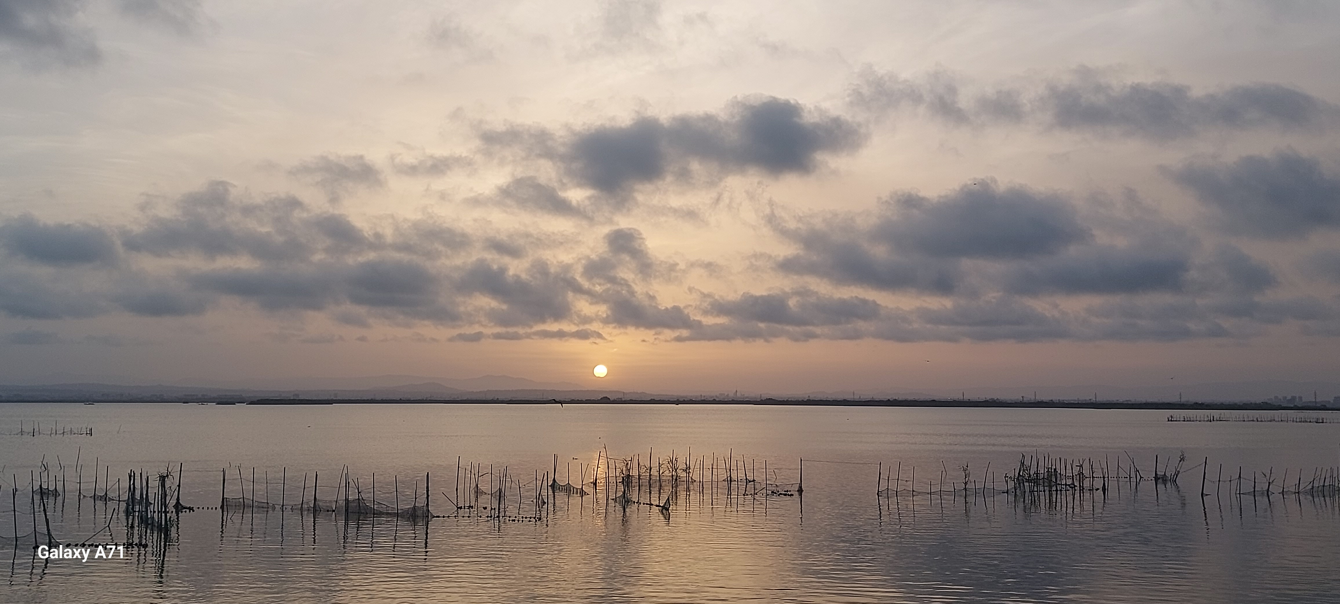 Pedro Fernández - Albufera