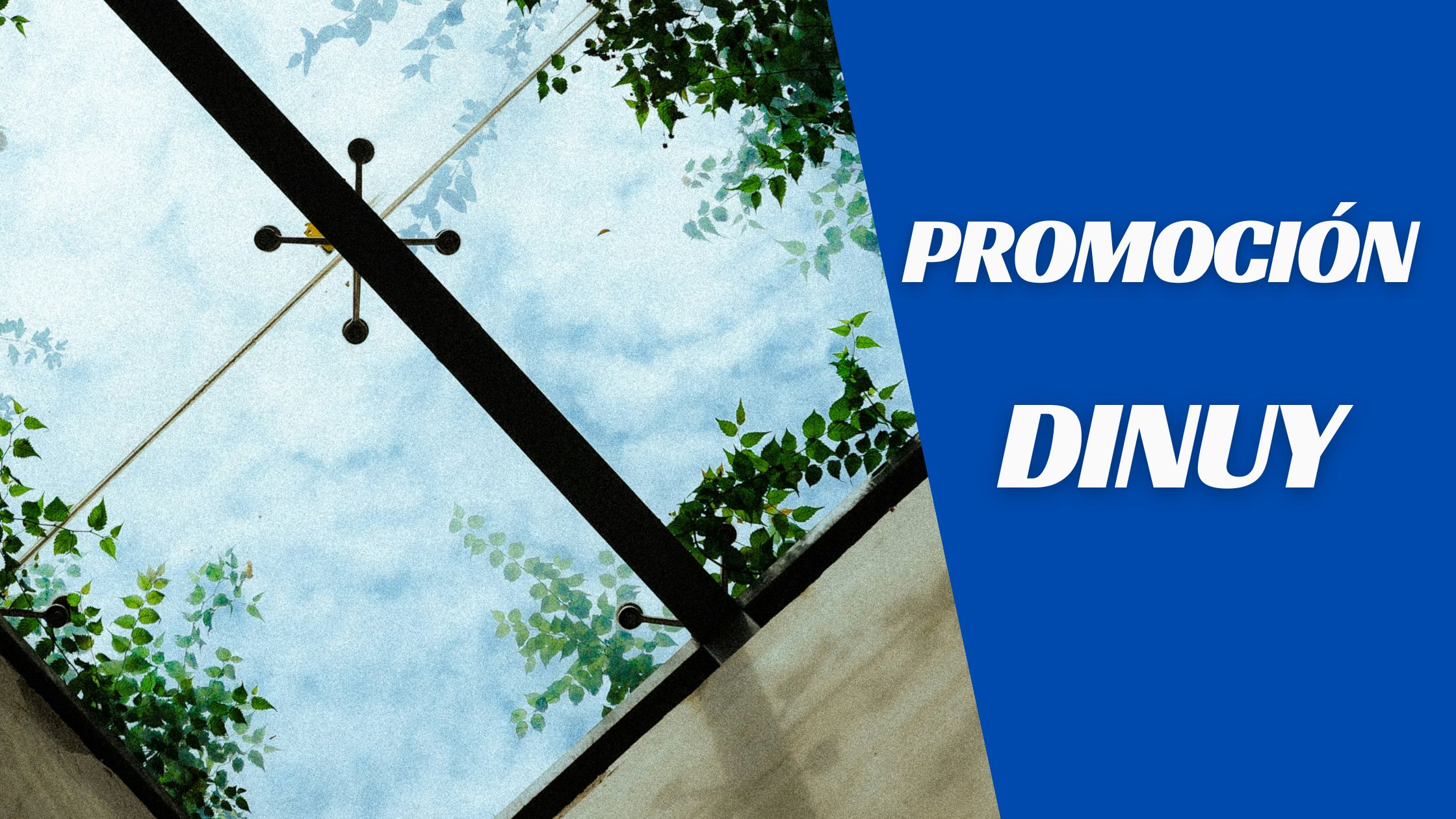 Promoción DINUY