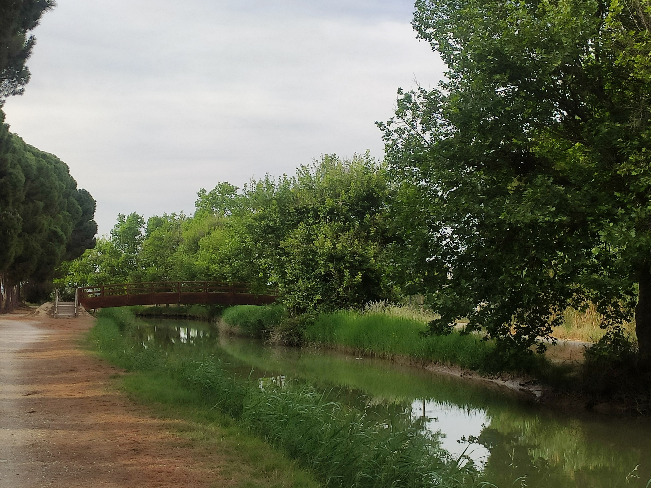 Raúl Ruiz - Canal imperial de Aragón