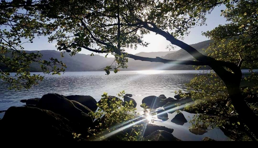 Unai Trigo - Sanabria